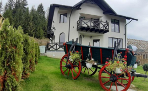 Bucovina Sky View